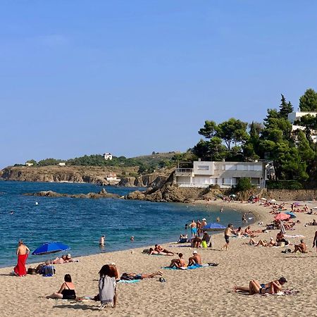 Studio 07 Argeles Sur Mer . La Plage A Pied, L'Espagne A 30 Mn エクステリア 写真