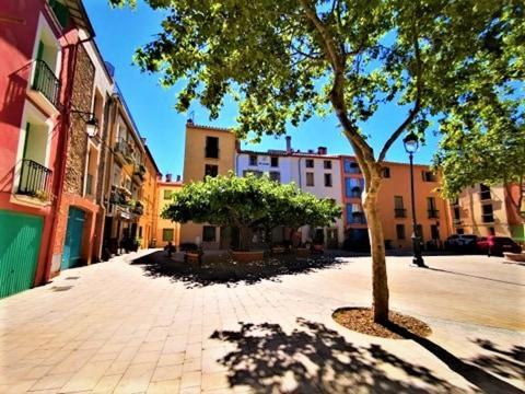 Studio 07 Argeles Sur Mer . La Plage A Pied, L'Espagne A 30 Mn エクステリア 写真